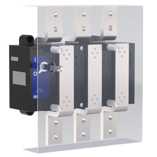 DISCONNECTOR SWITCH ROTARY RIW1,250-3 H