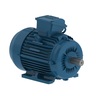 W22Xec IE1 3.7 kW 4P 100L 3F 220/380 V 60 Hz IC411 - TEFC - B3T