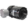 Explosion Proof Premium Efficiency 1.5 HP 04 56C 230/460 V 60/50 Hz-TEFC-Footless