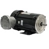 Explosão NEMA Premium Efficiency 1 HP 04P 56C 208-230/460V 60 Hz - TEFC