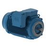 W22 NEMA Premium Efficiency 100 HP 2P 404/5TSC 3Ph 230/460//380 V 60//50 Hz IC411 - TEFC - Footless
