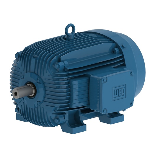 W21 - Double Speed - Cast Iron Frame