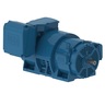 Cast Iron ODP Motors