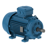 W21 - Cast Iron TEFC General Purpose