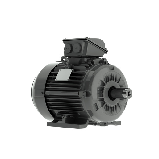 W23Xec SYNC+ IE5 0.25 kW 80 3Ph 400 V 1000 RPM IC411 - TEFC - B3T