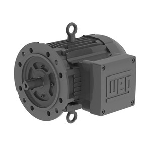 W21 Explosion Proof Standard Efficiency 0.75 kW 2P 90S 3Ph 220-240/380-415//440-460 V 50 Hz IC411 - TEFC - B5R(E)