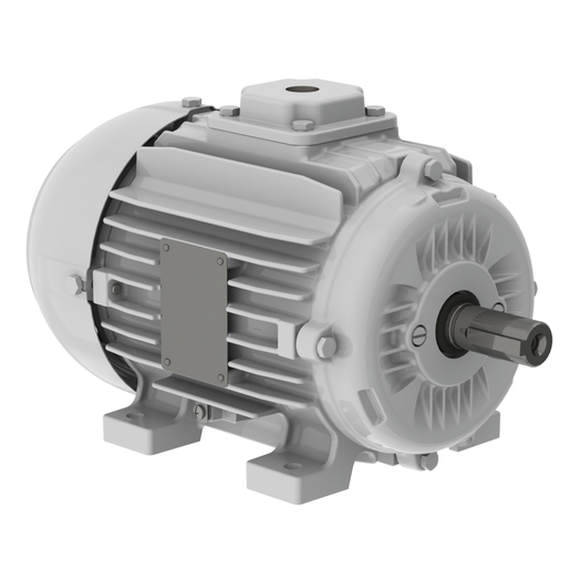 W22 Fan and Exhaust 300°C 2h IE1 0.25/1.1 kW 4/2P 80 3Ph 415 V 50 Hz IC411 - TEFC - B3T