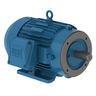 W22 NEMA Premium Efficiency 10 HP 4P 213/5TC 3Ph 230/460//380 V 60//50 Hz IC411 - TEFC - Foot-mounted