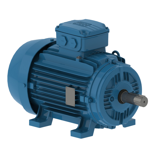 W21 - Cast Iron TEFC General Purpose