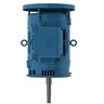W40 JP Pump NEMA Premium Efficiency 30 HP 2P 284/6JP 3Ph 575 V 60 Hz IC01 - ODP - Footless