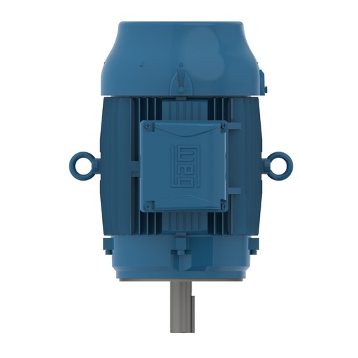 W22 IE2 7.5 kW 8P 160L 3Ph 380-400-415/660-690//460 V 50 Hz IC411 - TEFC - V18