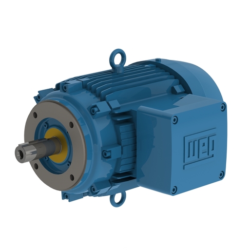 W21 Explosion Proof IE2 15 kW 2P 160M 3Ph 400 V 50 Hz IC411 TEFC