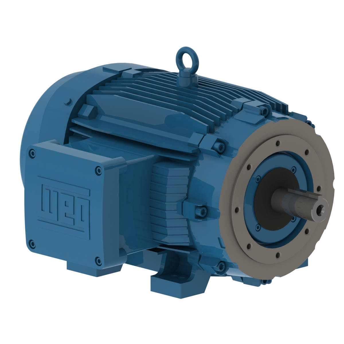 W21 Explosionproof Motor NEMA Premium Efficiency 75 HP 4P 364/5TC 3Ph