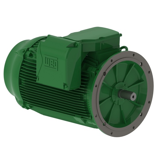 W22 Super Premium 60 cv 4P 225S/M 3F 220/380 V 60 Hz IC411 - TFVE - B5D