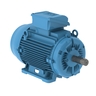W22 IE3 11 kW 6P 160L 3Ph 380-400-415/660-690//460 V 50 Hz IC411 - TEFC - B3T