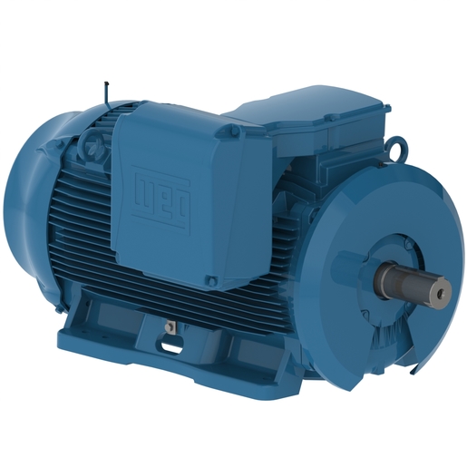 W22 NEMA Premium Efficiency 350 HP 8P 586/7T 3F 460 V 60 Hz IC411 - TEFC - Con pies