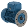 W22Xdb IE2 0.55 kW 4P 80 3Ph 220-230-240/380-400-415//460 V 50 Hz IC411 - TEFC - B5T