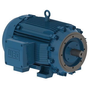 W21 Explosion Proof Standard 100 cv 8P 280S/M 3Ph 220/380/440 V 60 Hz IC411 - TFVE - B34D