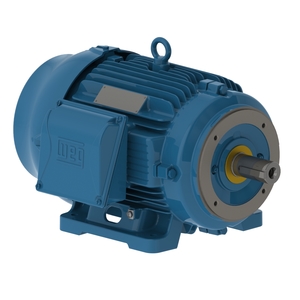 W22 IEEE 841 NEMA Premium Efficiency 15 HP 2P 254/6TC 3Ph 460 V 60 Hz IC411 - TEFC - Foot-mounted