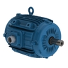 W22 NEMA Premium Efficiency 15 HP 4P 256TZ 3F 208-230/460//380 V 60//50 Hz IC418 - TEAO - Pad mounted