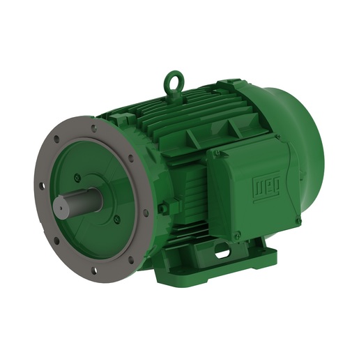 W22 IE2 22 kW 4P 180L 3F 1000 V 50 Hz IC411 - TEFC - B35R(E)