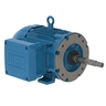 W21 Explosion-proof Motor NEMA Premium Efficiency 5 HP 4P 184TCZ 3Ph 575 V 60 Hz IC411 - TEFC - Foot-mounted