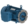 W22Xdb IE2 15 kW 4P 160M/L 3Ph 380-400-415/660-690//460 V 50 Hz IC411 - TEFC - B5T