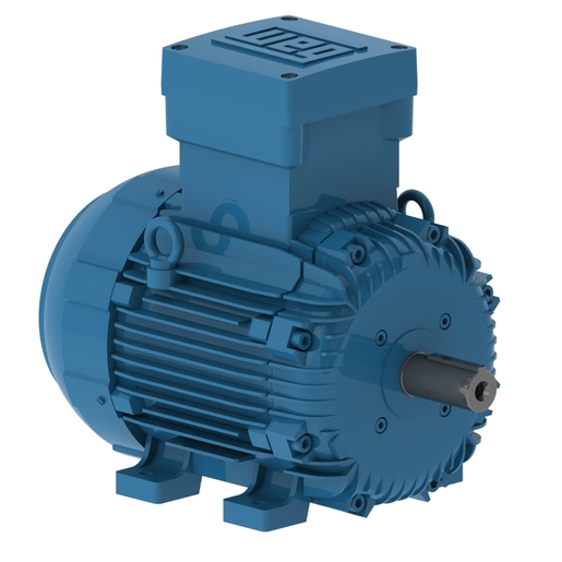 W21 Explosion Proof IE1 4 kW 2P 112M 3Ph 220-240/380-415//440-460 V 50 Hz IC411 - TEFC - B3T