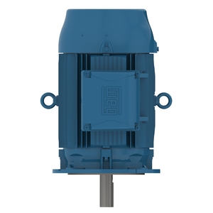 W22 IE2 55 kW 2P 250S/M 3Ph 220/380 V 60 Hz IC411 - TEFC - V1T
