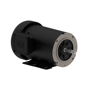 Centrifugal Pump 3 HP 2P F56HJ 3Ph 575 V 60 Hz IC411 - TEFC - Foot-mounted