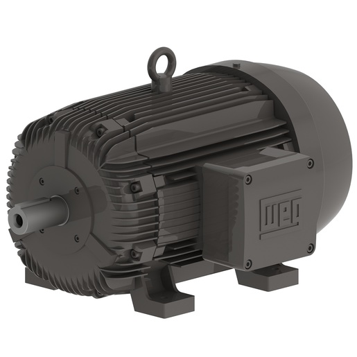 W21 Explosion Proof IE1 30 kW 4P 200L 3Ph 200/400 V 50 Hz IC411 - TEFC - B3L(D)
