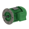 W22 IE3 Premium Efficiency 0.25 kW 4P 71 3F 220-230-240/380-400-415//460 V 50 Hz IC411 - TEFC - B5R(E)