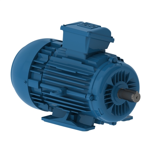 W22 IE2 5.5 kW 4P L112M 3Ph 220-230-240/380-400-415//460 V 50 Hz IC411 - TEFC - B3T