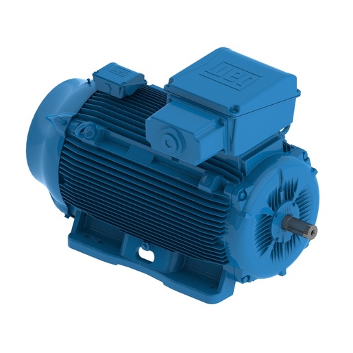 W22 Média Tensão 132 kW 2P 315L 3F 3300 V 50 Hz IC411 - TEFC - B3T