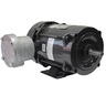 Explosion Proof NEMA Premium Efficiency 1 HP 02P 56 208-230/460V 60 Hz - TEFC