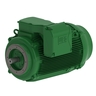 W22 IE2 75 HP 8P 315S/M 3Ph 380/660 V 50 Hz IC411 - TEFC - B14R(E)