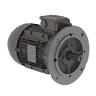 Multimounting High Efficiency 0.25 HP 4P 63 3Ph 230/460//380-415 V 60 Hz IC411 - TEFC - B5T