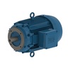 W21 Explosion-proof Motor High Efficiency 7.5 HP 4P 213TC 3Ph 230/460 V 60 Hz IC411 - TEFC - Footless