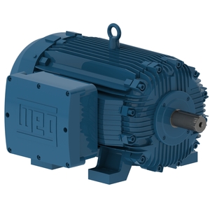 W21 Explosion Proof Standard 100 cv 8P 280S/M 3Ph 220/380/440 V 60 Hz IC411 - TFVE - B3D