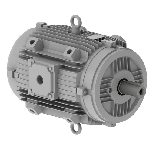 W21 Fan & Exhaust (TEFC/TEAO)