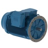 W22 NEMA Premium Efficiency 100 HP 6P 444/5TD 3F 230/460//380 V 60//50 Hz IC411 - TEFC - Sem pés