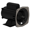 BOMBA/FILTRO Permanent Capacitor 1 cv 2P 42Y 1Ph 110-127/220-254//110/220 V 60 Hz IC01 - ODP - Foot-mounted