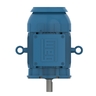 W21 Explosion-proof Motor NEMA Premium Efficiency 5 HP 4P 184TC 3Ph 230/460//380 V 60//50 Hz IC411 - TEFC - Footless