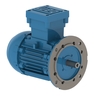 W21늙C(j)IE1 0.55 kW 4P 90S 3Ph 220-240 / 380-415 // 440-460 V 50 Hz IC411-TEFC-B5T