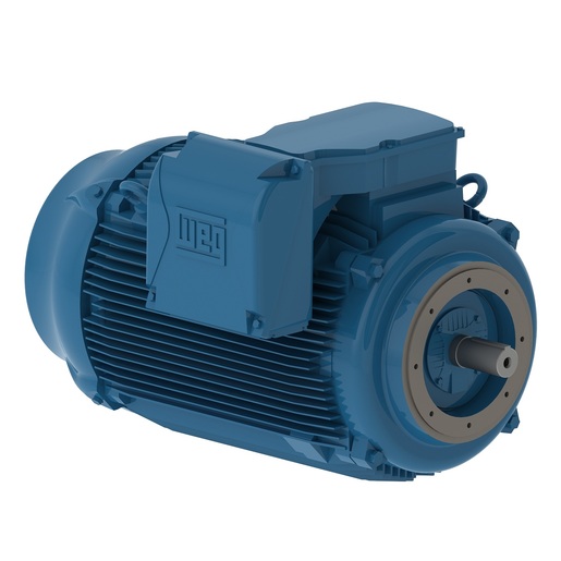 W22 NEMA Premium Efficiency 100 HP 2P 404/5TSC 3Ph 230/460//380 V 60//50 Hz IC411 - TEFC - Footless