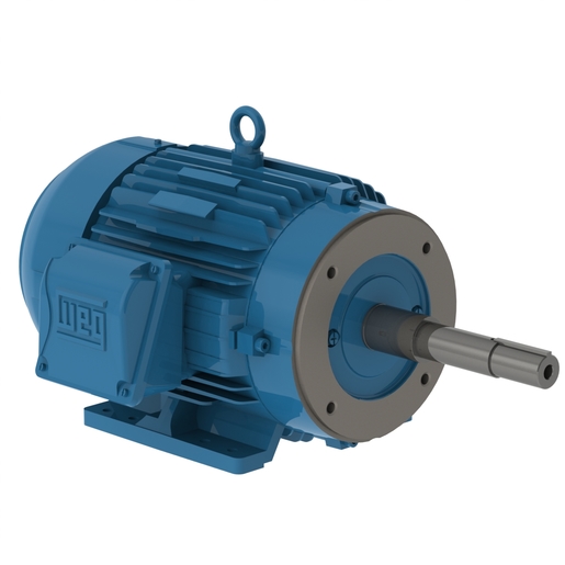 W22 Bomba Monobloco Jp Nema Premium Efficiency 10 Hp 2p 213 5jp 3f 575 V 60 Hz Ic411 Tefc Con Pies W22 Tipo Jm Jp Bomba Monobloque Jm Jp Hierro