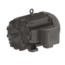 W21 Explosion Proof Standard Efficiency 110 kW 4P 280S/M 3Ph 380-415/660//440-460 V 50 Hz IC411 - TEFC - B3R(E)