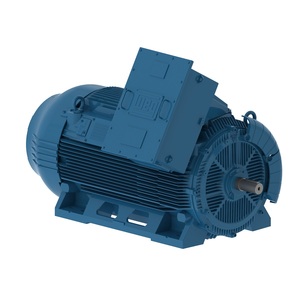 W50 Standard Efficiency 600 HP 2P 5809/10 3Ph 460 V 60 Hz IC411 - TEFC - Foot-mounted