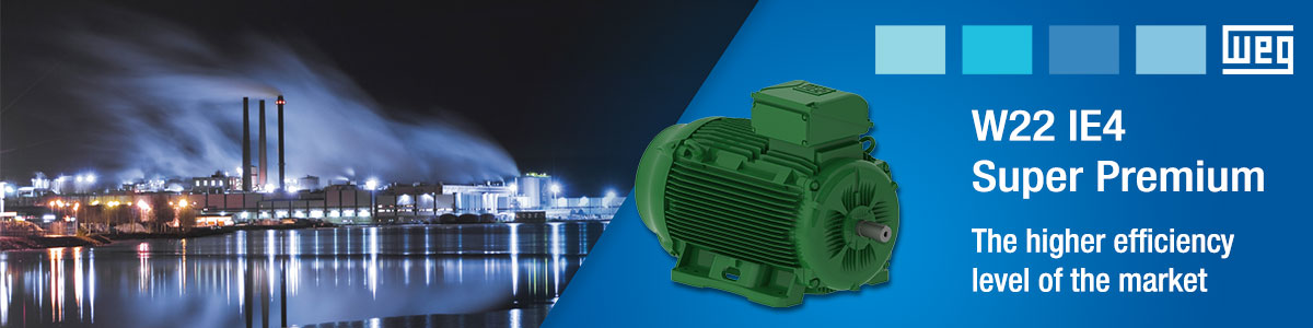 Weg W22 Motor Manual | Bakemotor.org