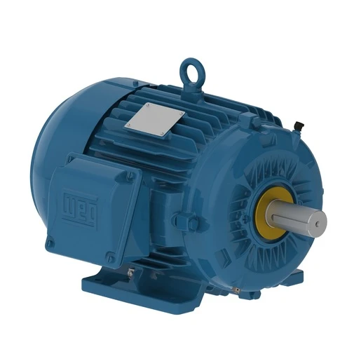 WEG 16686921 W22 IEEE 841 Motor